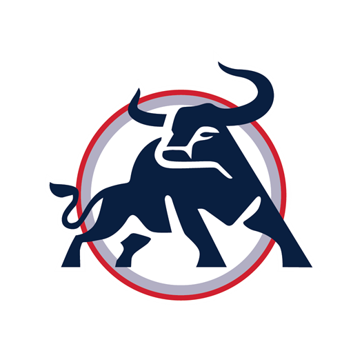 Bulls