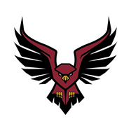 Hawks