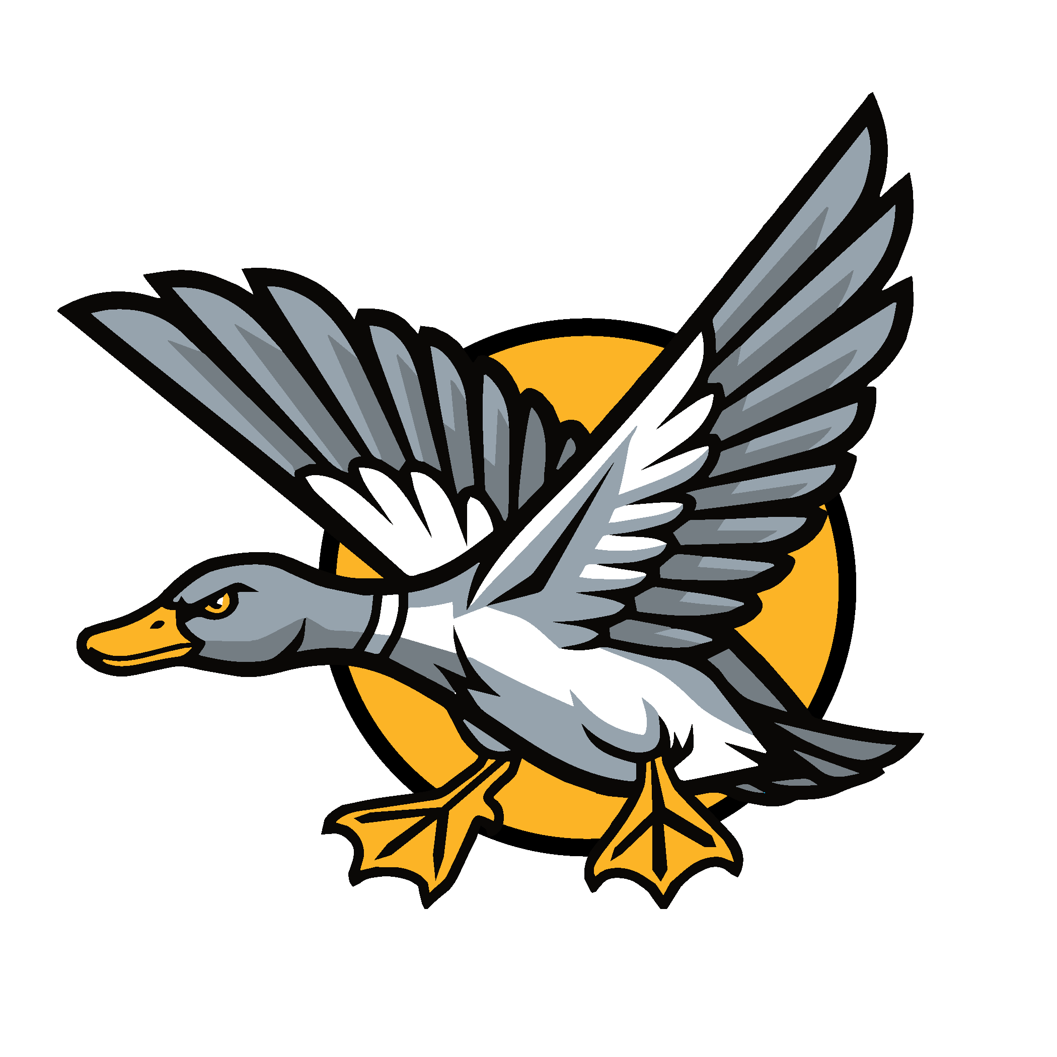 Ducks